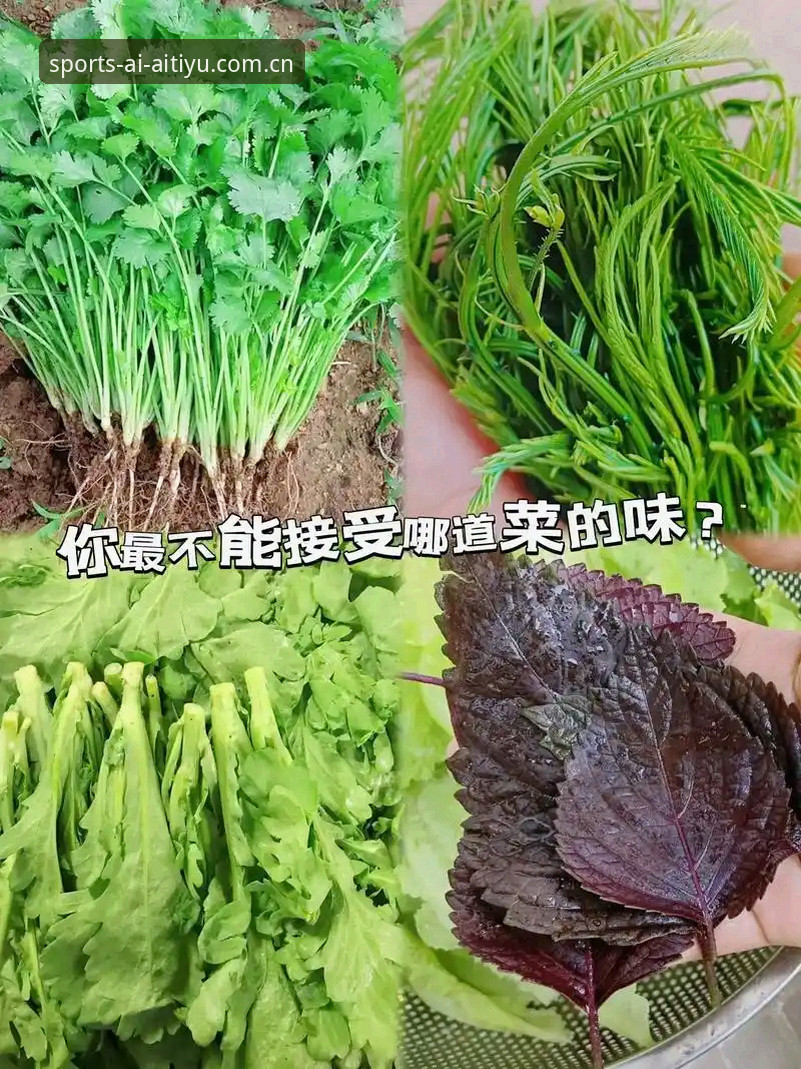 爱体育手机版推荐 官方版VS网页版:爱体育手机版推荐,哪个才是你的菜?