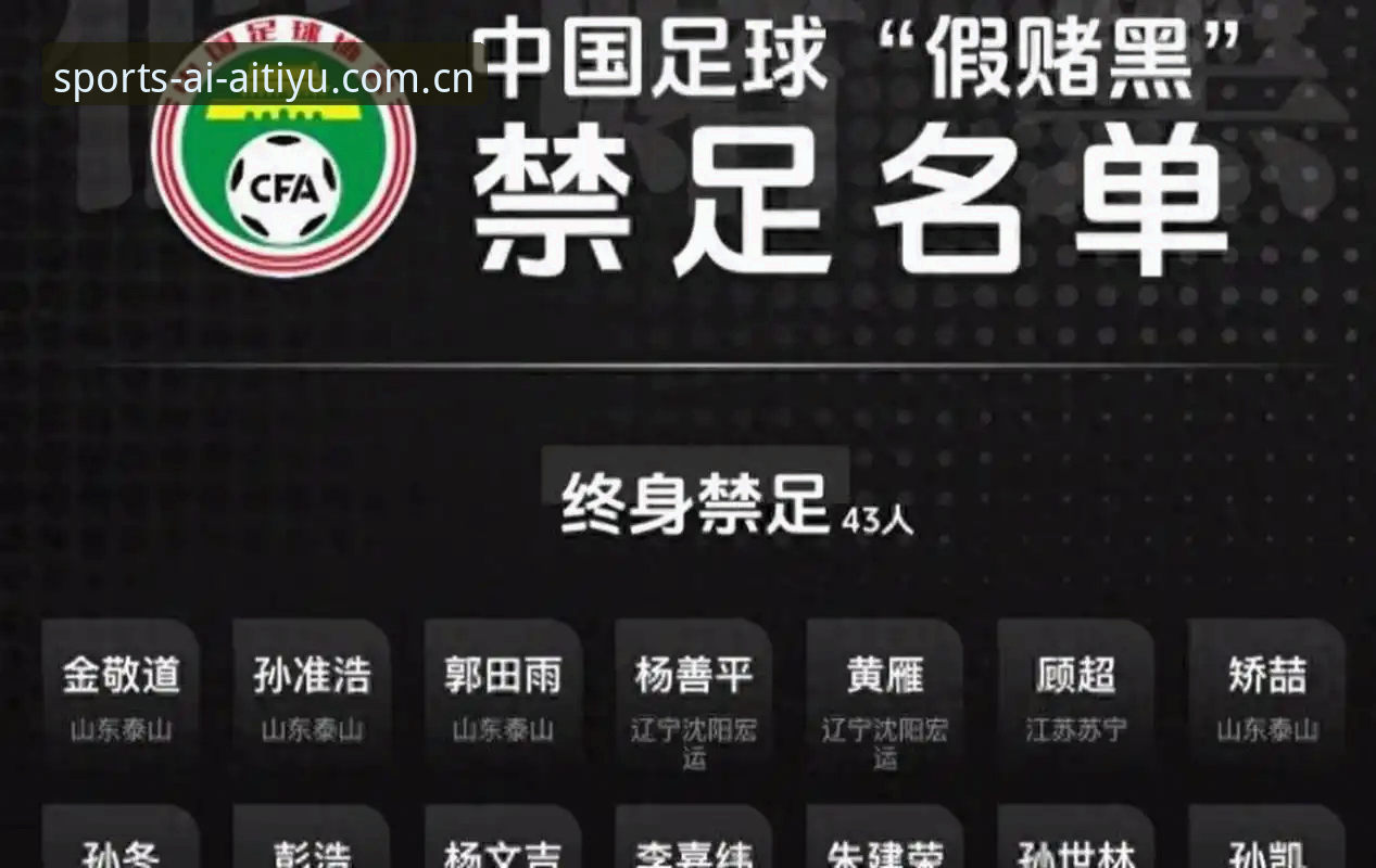 中国足球反腐风暴深度评测：第三批禁足名单全面解读