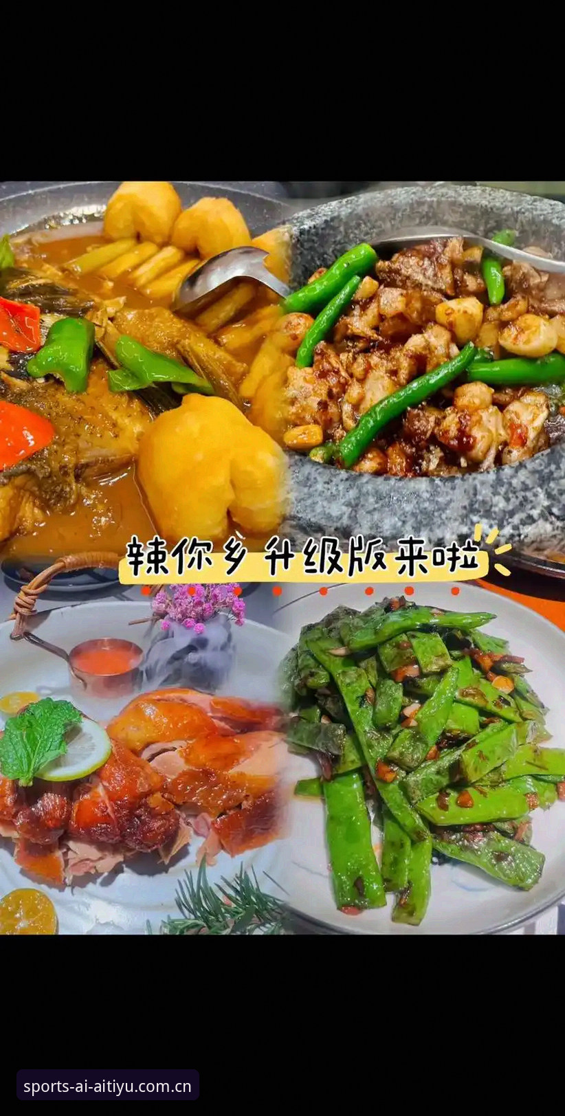 官方版VS网页版：爱体育手机版推荐，哪个才是你的菜？